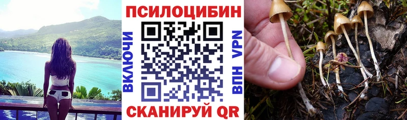 Купить где  Строитель  Галлюциногенные грибы мухоморы 